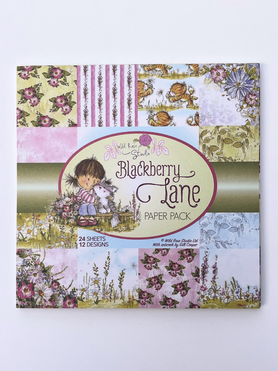 BlackBerry Lane Paper Pack image 0