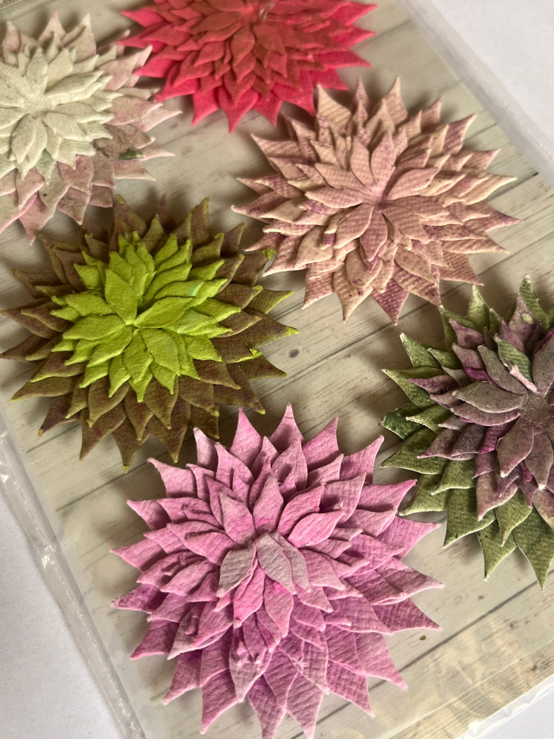 Handmade Mini Succulents image 0